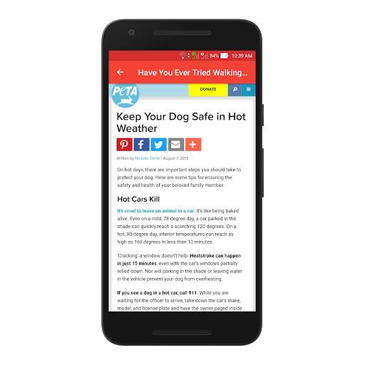 Dog Lovers screenshot 4