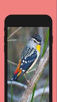 Birds ColorbyNumber - Coloring Book screenshot 3