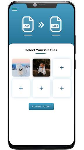 GIF to Video screenshot 2