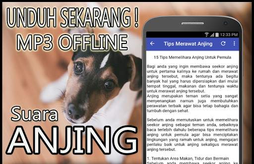 Suara Anjing Mp3 Offline screenshot 4