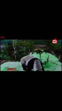 WETV Channel स्क्रीनशॉट 4