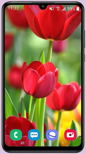 Tulips Wallpaper Best HD screenshot 3