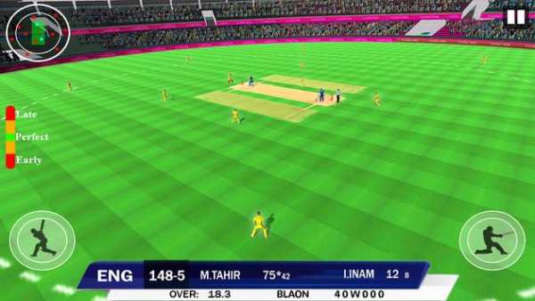 World Cricket Cup 2020 - Live Cricket Match Game screenshot 2