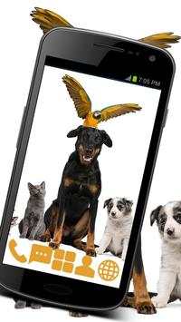 Home Animals GO Launcher Theme screenshot 1