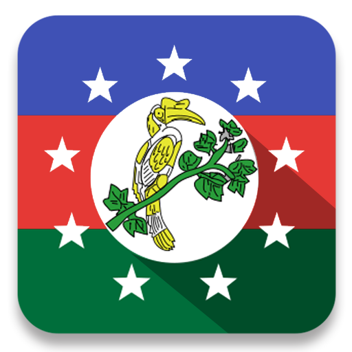 Chin News icon