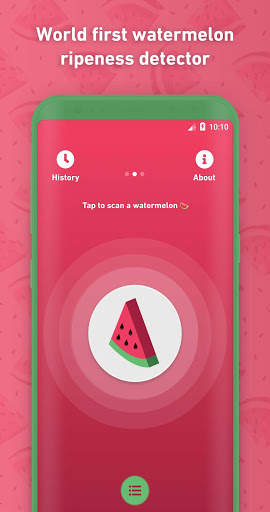 Melony: World First Watermelon Ripeness Detector screenshot 1