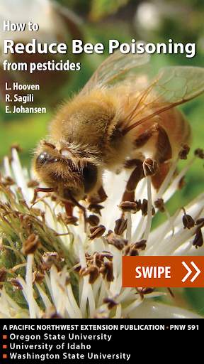 Bee Safety скриншот 1