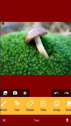 Totally Free Photo Editor screenshot 8
