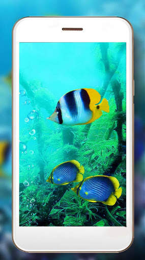 Aquarium World Live Wallpaper screenshot 3