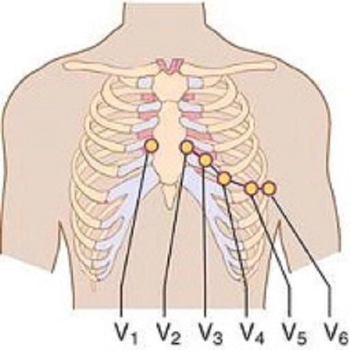 Clinical ECG Guide. icon