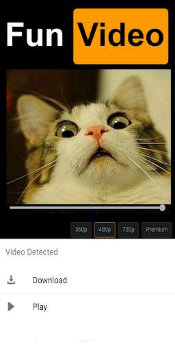 Video Downloader screenshot 2