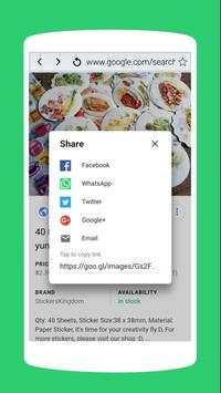 A Web Browser screenshot 1