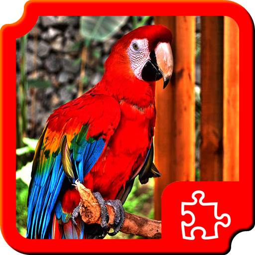 Birds Puzzles 1.4.1