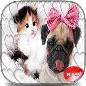Dog and Cat Keyboard Theme 2.0