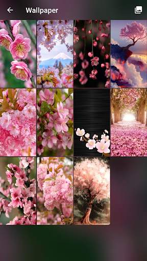 Sakura Pattern Lock Screen screenshot 6