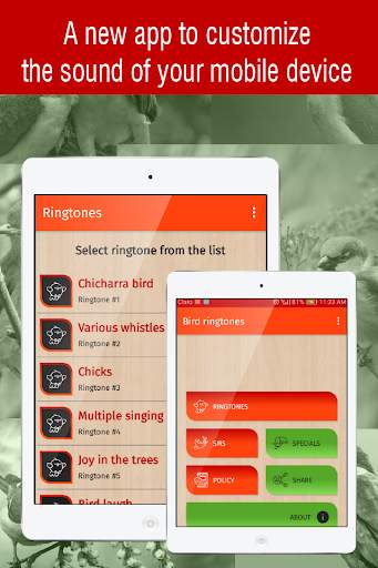bird ringtones for phone, bird sounds ringtones screenshot 6