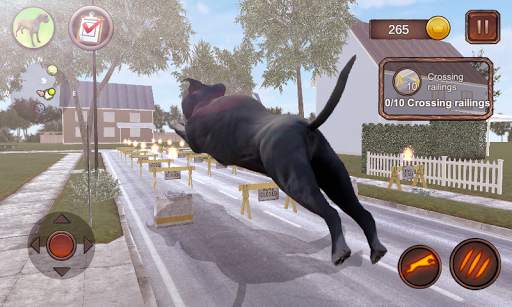 AmStaffs Dog Simulator screenshot 4