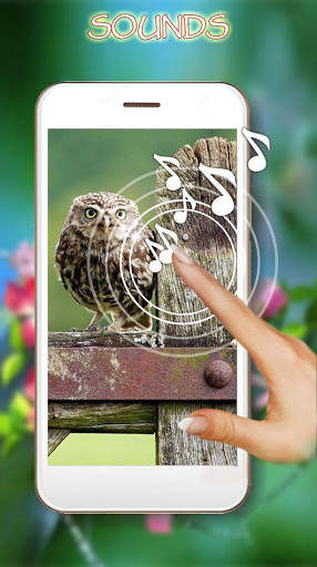 Love Birds Live Wallpaper screenshot 1