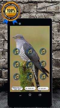 Common Cuckoo Call : Common Cuckoo Bird Sound screenshot 1