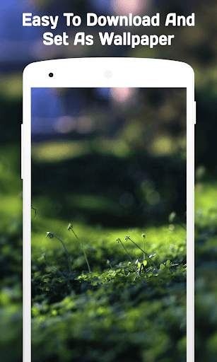 Blur Wallpaper (4k) 6 تصوير الشاشة