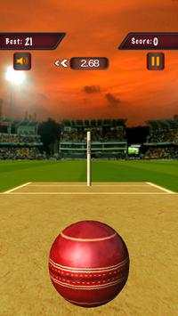 Flick Cricket 3D T20 World Cup screenshot 5
