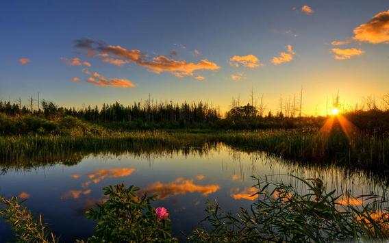 Nature Wallpapers screenshot 1