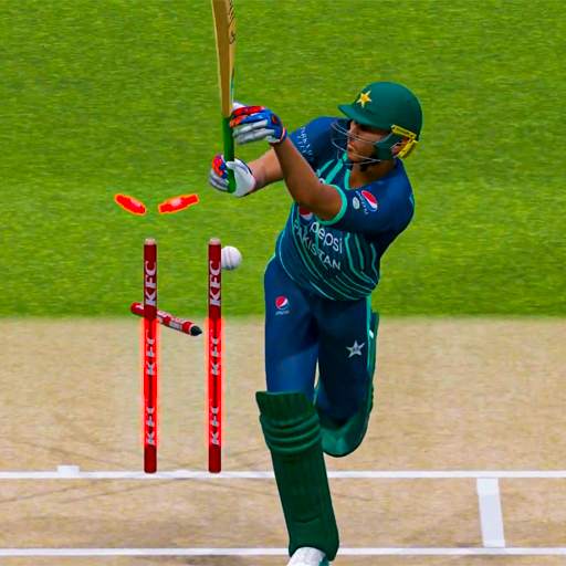 Real World Cricket Games 1.7