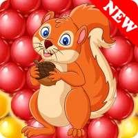 Bubble squirrel 2020