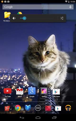 Gatos Fondos y fotos graciosas screenshot 6