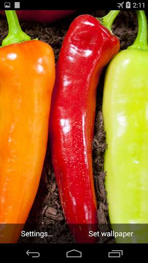 Hot Chili Peppers Wallpaper screenshot 2