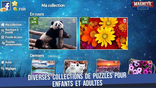 Magnetic Jigsaw screenshot 4