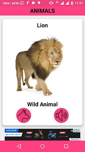 Animals and Birds Sounds screenshot 3