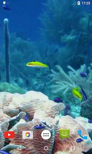 Marine Aquarium Live Wallpaper screenshot 2