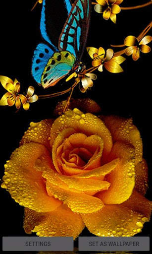 Golden Rose Live Wallpaper screenshot 1