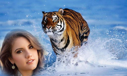 Animal Photo Frame screenshot 1