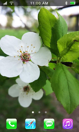 Spring Flowers Live Wallpaper screenshot 1