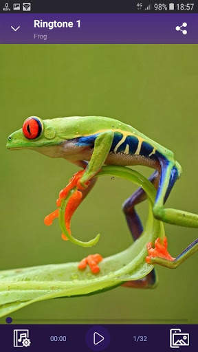 Frog - RINGTONES and WALLPAPERS screenshot 2
