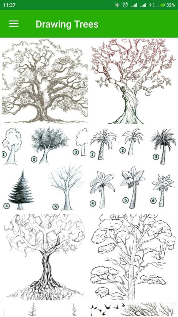 Drawing Trees 3 تصوير الشاشة