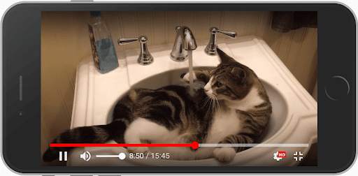 Funny Cat Best Videos स्क्रीनशॉट 3