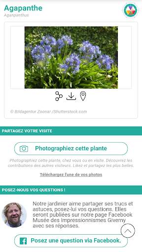 Jardin des impressionnismes screenshot 4