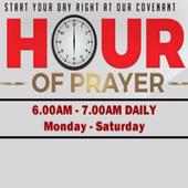 Covenant Hour of Prayer ( DR David Oyedepo) logo