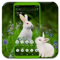 White Rabbit Launcher Theme