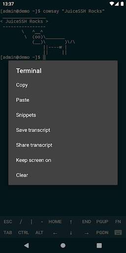 JuiceSSH - SSH Client screenshot 8