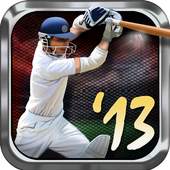 Tap Cricket 2013 1.0