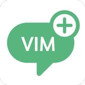 VIM 1.3.7