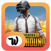 Only PUBG Wallpapers 1.0