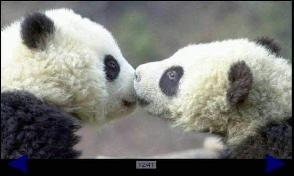 Panda Gallery HD screenshot 1