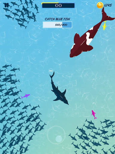 Fish Wipeout: Hungry Small Shark Eat & Grow screenshot 6