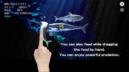 Great white shark breeding AR screenshot 4