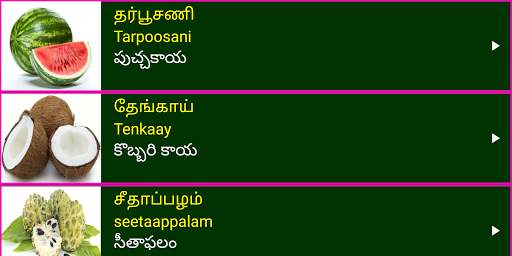 Learn Tamil From Telugu screenshot 13